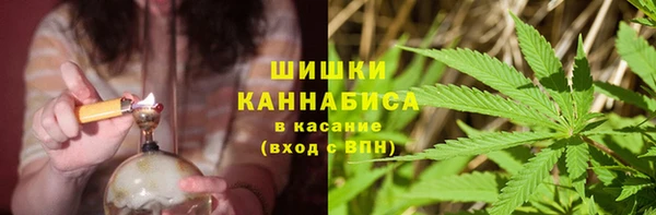 ГАЛЛЮЦИНОГЕННЫЕ ГРИБЫ Армянск