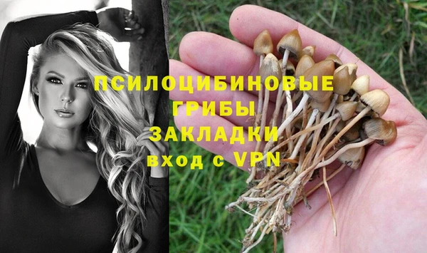 дурь Арсеньев