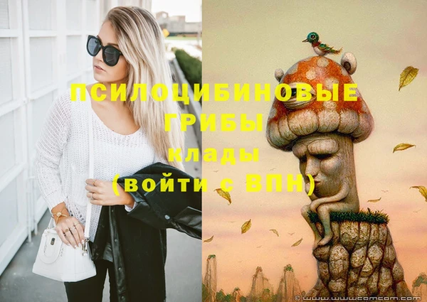 дурь Арсеньев