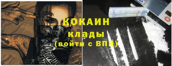 дурь Арсеньев